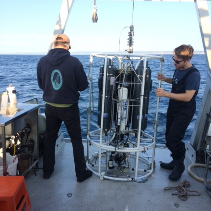 Single-Celled Marine Microbe may be a Secret Weapon in the Battle Against Climate Change.