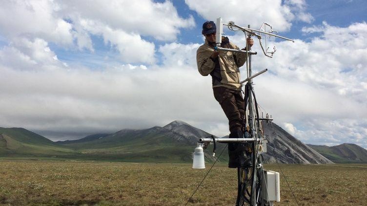 Earlier Snowmelt Impacts Carbon Sequestration in Arctic Tundra Ecosystems