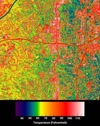 NASA Scientist Shows How Green Roofs Could Help to Reduce Extreme Heat.