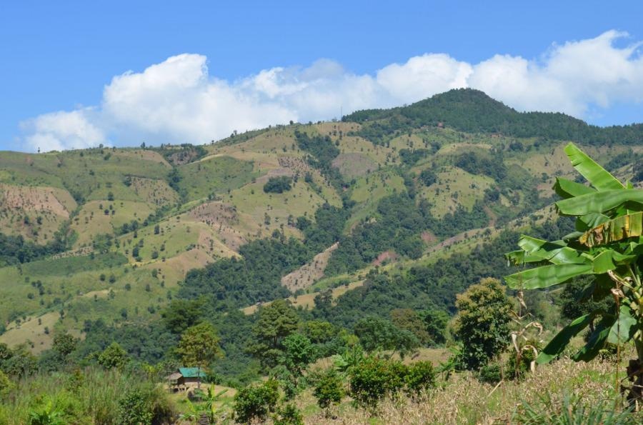 Carbon Loss Doubled Over the Past two Decades Due to Excessive Forest Removal in the Tropics, Study Finds.