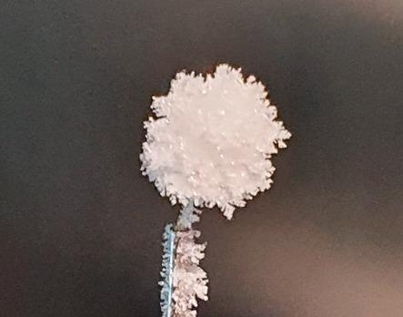 Significant Data Gathered Helps Predict Heavy Rain, Hail, and Graupel Precipitation.
