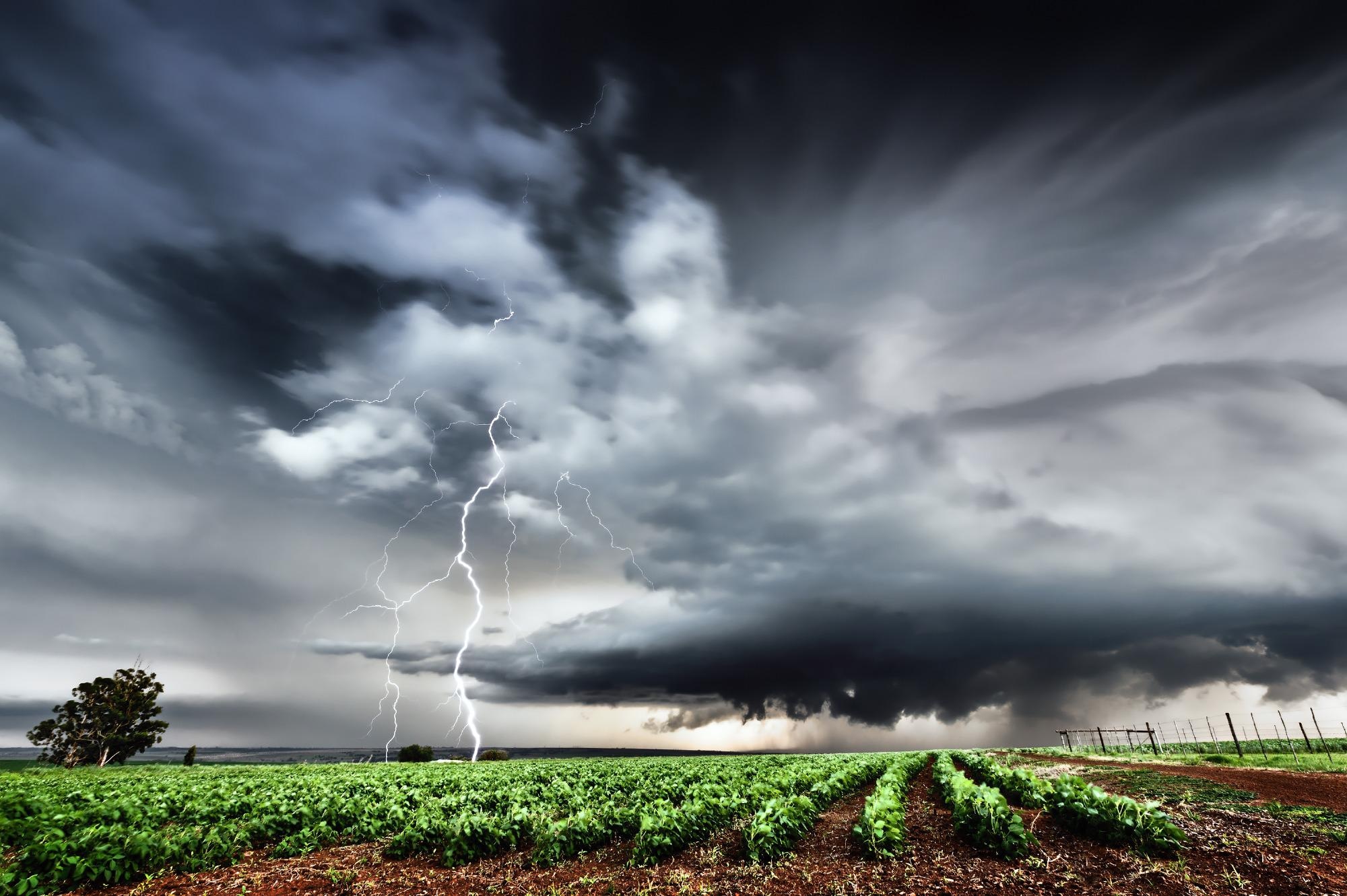 Newly-Developed Butterfly Attractor Helps Control and Change the Weather.