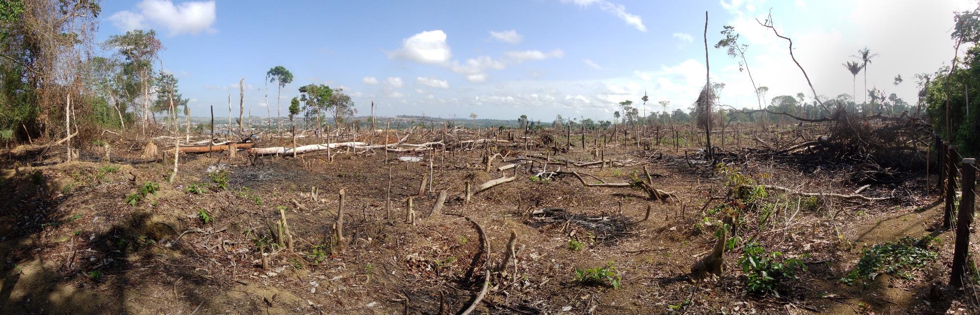 Crowdsourcing Helps Identify the Drivers of Deforestation to Combat Forest Loss in the Tropics.
