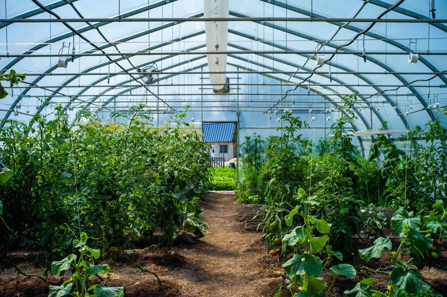 Agricultural and Forestry Sectors Likely to Play a Key Role in Reducing Greenhouse Gas Emissions.