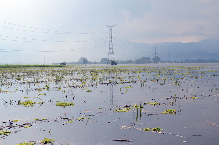 Study Shows that Community-Based Climate Risk Management Committees Can Help Improve Farmer’s Harvests.