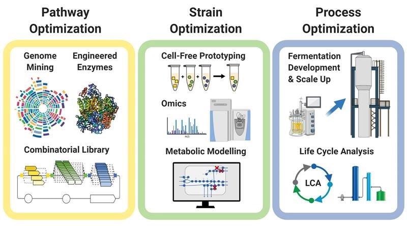 Novel Carbon-Negative Route for Producing the Commodity Chemicals.