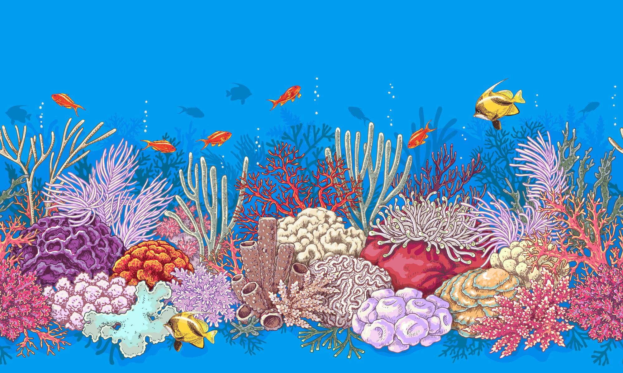 New Study Could Help Guide the Development and Marketing of Coral-Safe Sunscreens.