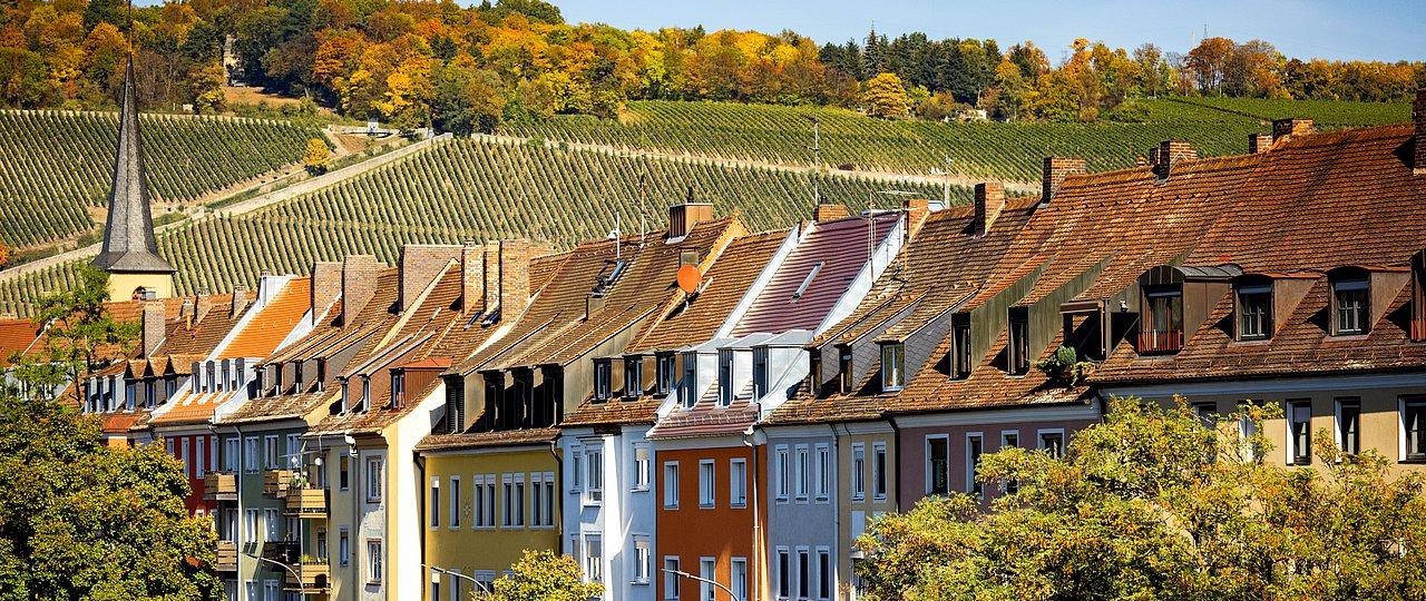 Scientists Assess the Role of Greenery in Relieving Thermal Stress in Urban Areas.