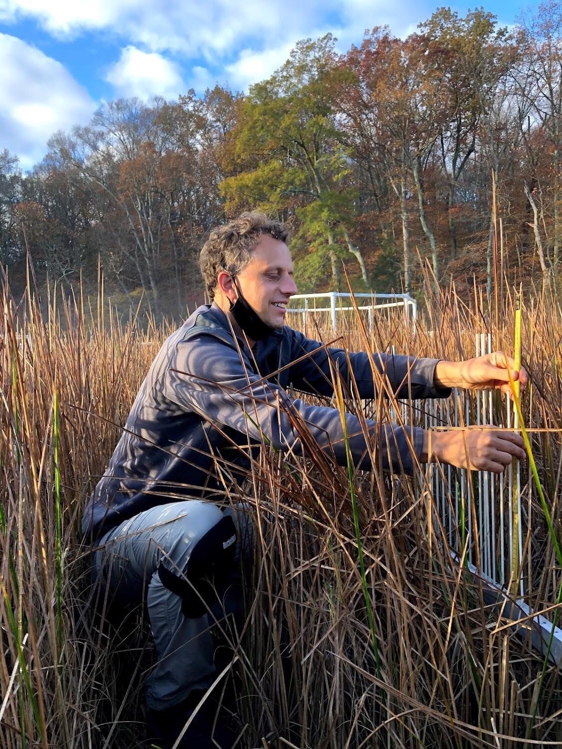 Extra CO2 Does not Always Stimulate Wetland Growth, Study Says.