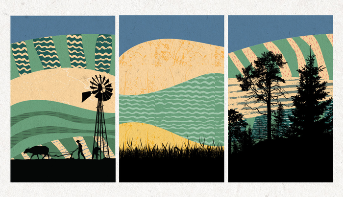 Restoring Neglected Farmland to Minimize the Effects of Climate Change.