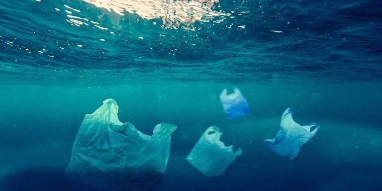 Scientists Explore the International Patterns of Plastic Packaging Waste.