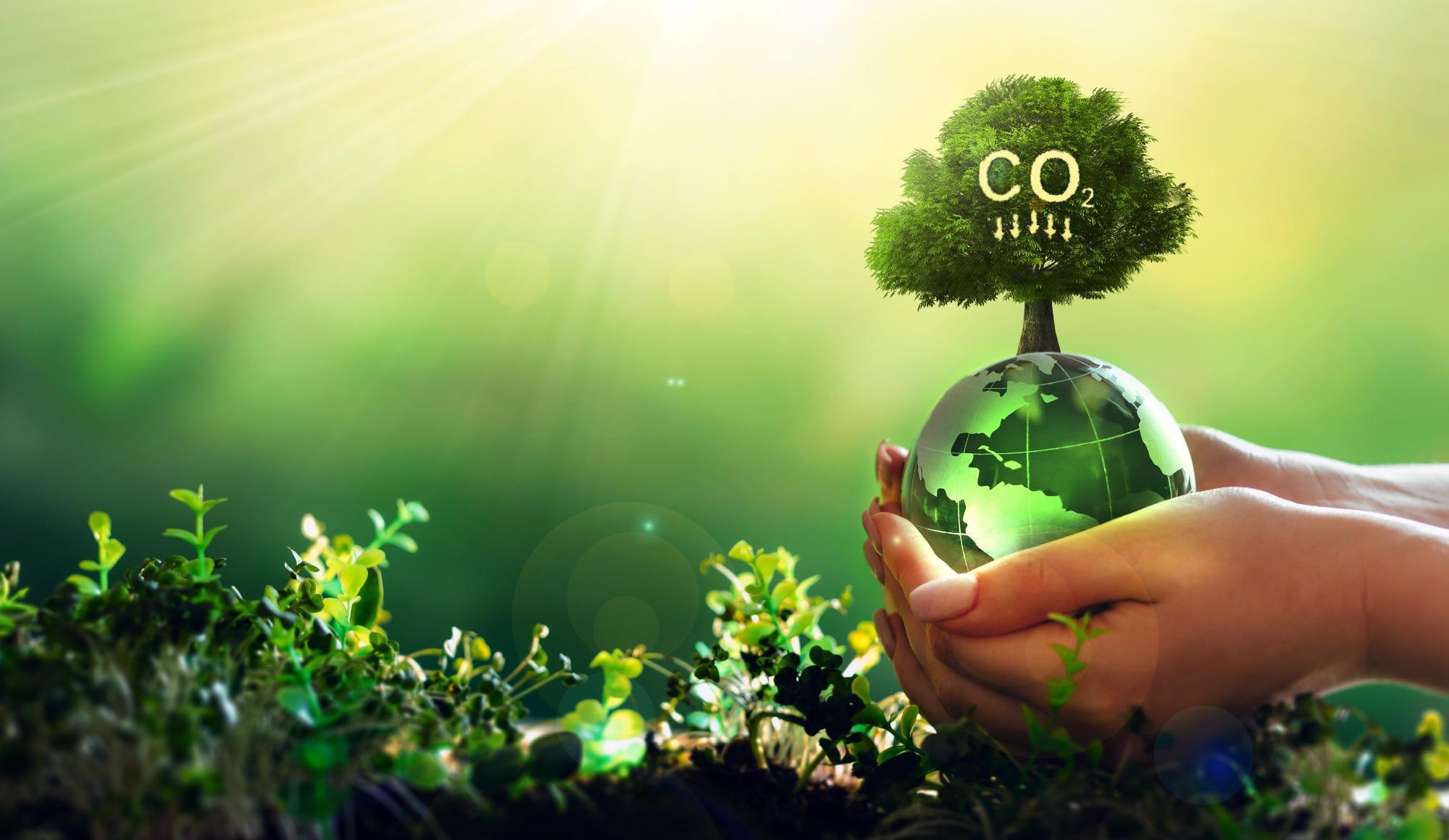 Study Identifies Opportunities for Land-Based Carbon Removal to Address the Climate Crisis.