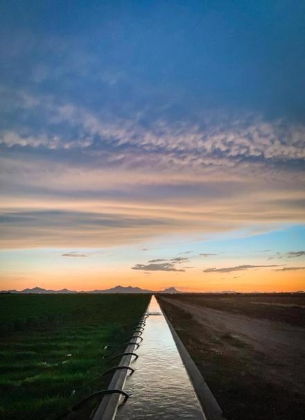 Study Finds Irrigation Could Be a Powerful Tool for Increasing the World’s Food Supply.