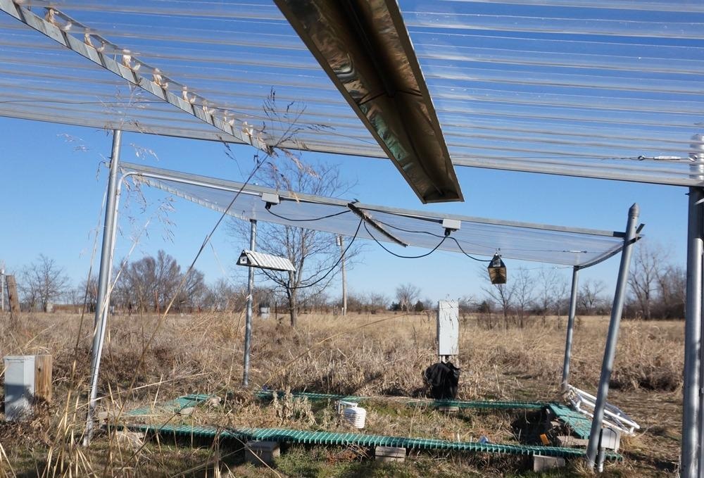 Climate Warming to Play a Predominant Role in Shaping Microbial Biodiversity