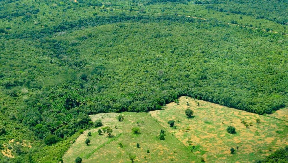 Scientists Develop Carbon Reserves Mapping to Fight Climate Change