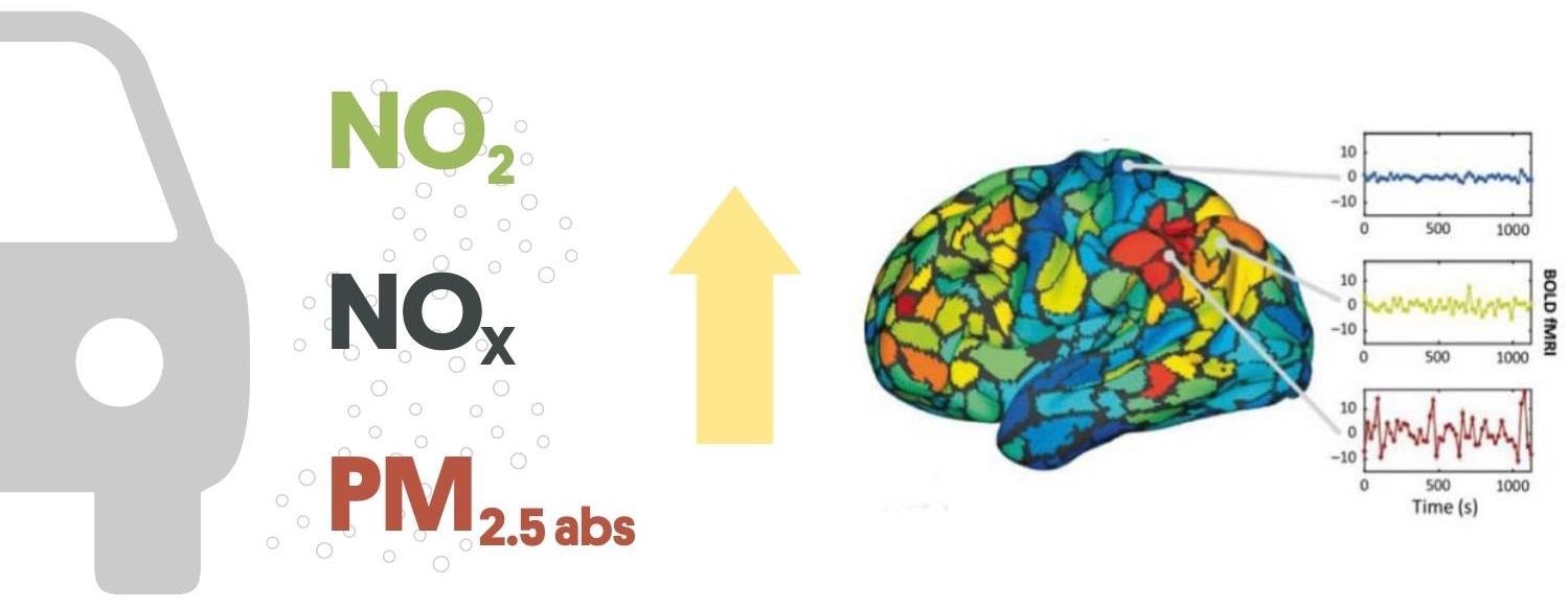 Exploring the Link Between Exposure to Traffic-Related Air Pollution and Whole-Brain Connectivity.