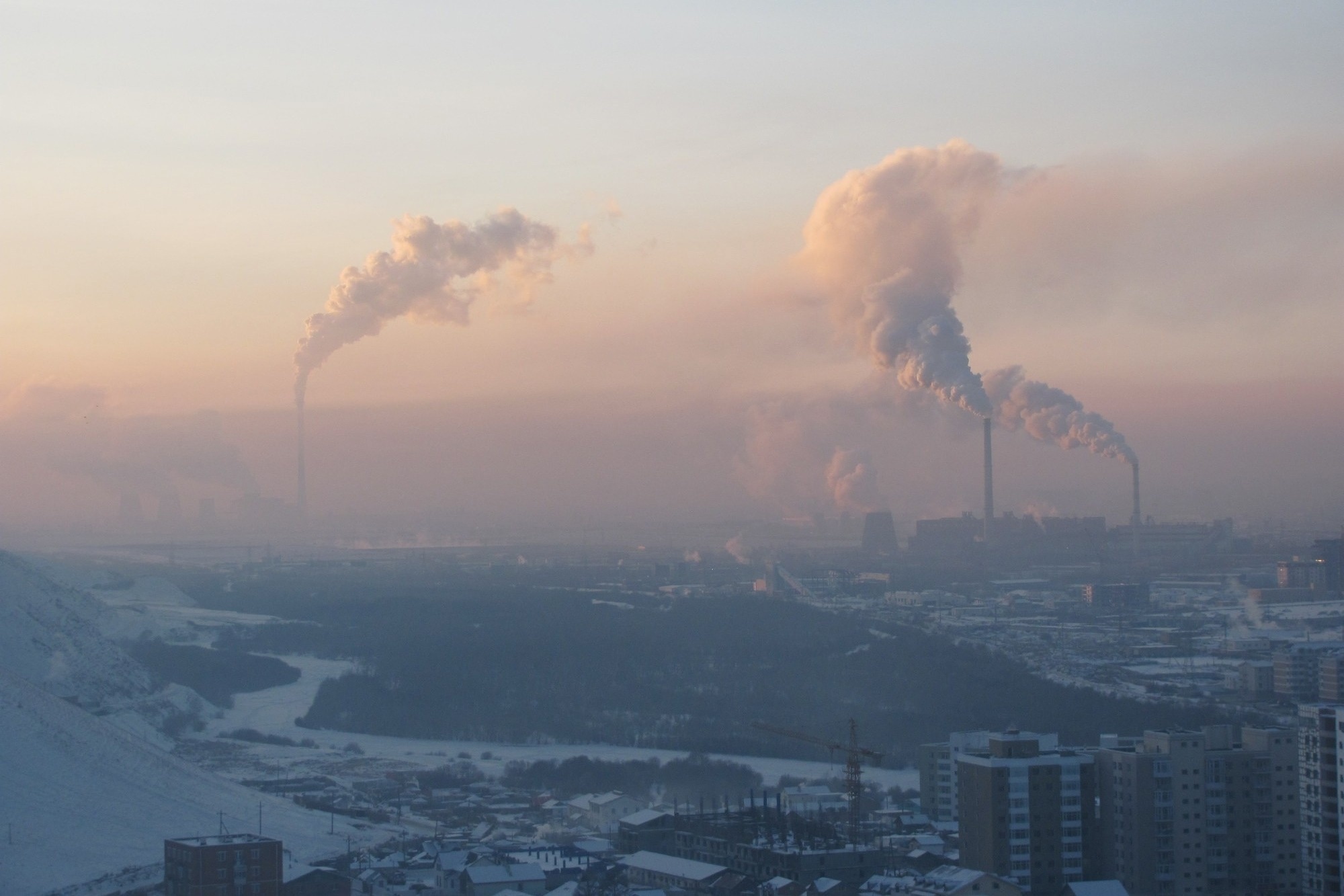Air Cleaner Can Reduce the Negative Impacts of Air Pollution on Brain Development in Children.
