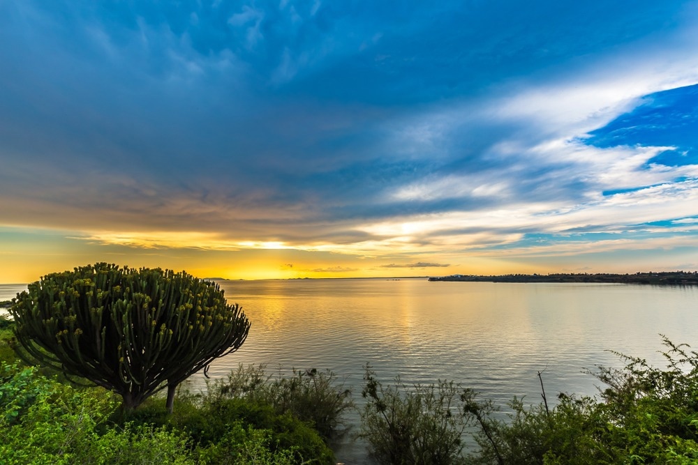 Greenhouse Gas Emissions from African Lakes Assessed
