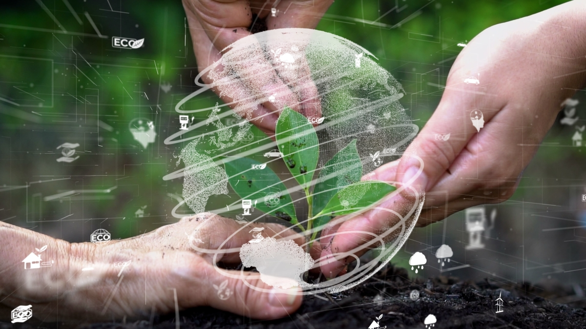 Framework Devised to Comprehend the Impact of AI on Greenhouse Gas Emissions