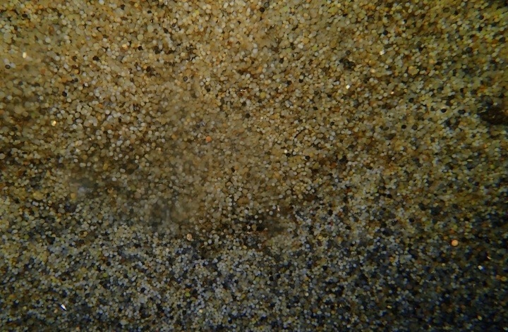 Microplastics: The Degradation of Plastic.