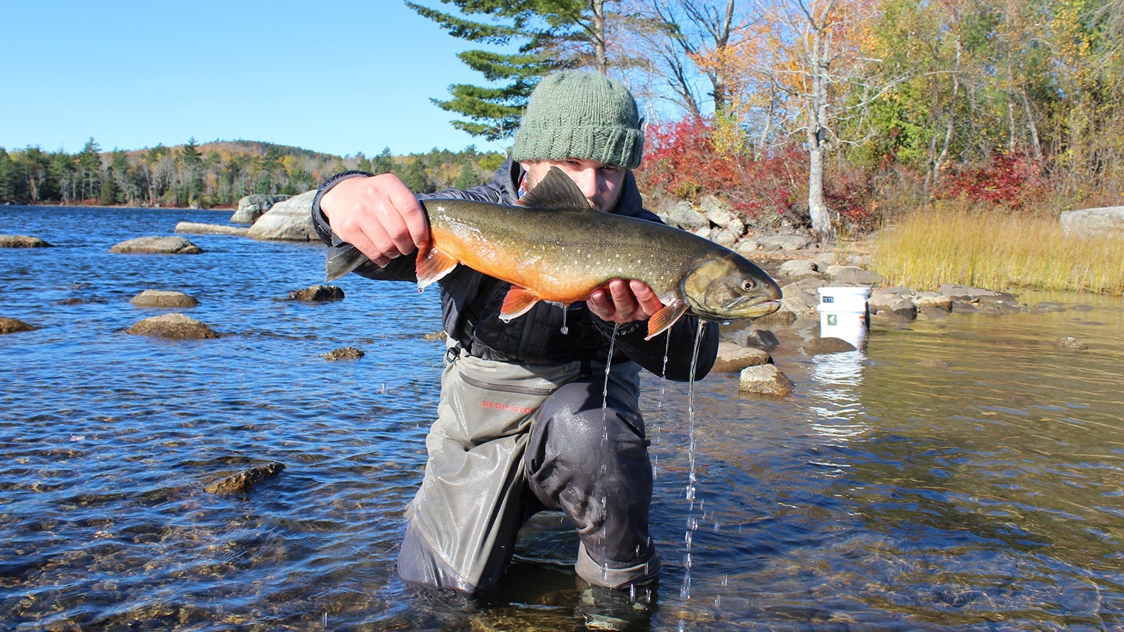 Framework for Identifying Resilient Populations of Arctic Charr.