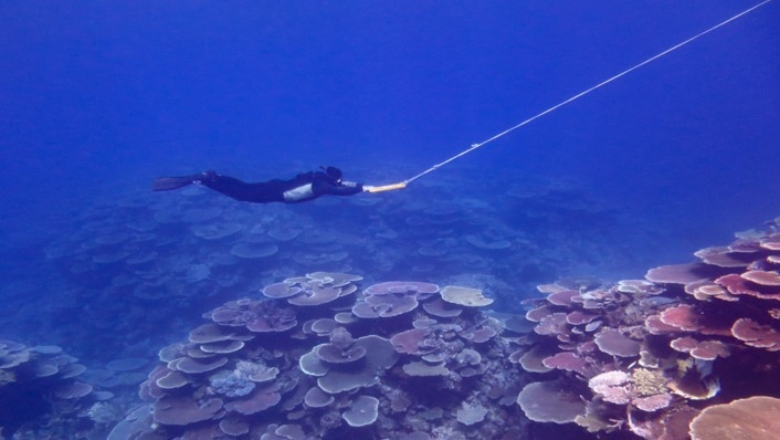 The Condition of Coral Reefs in the Great Barrier Reef.