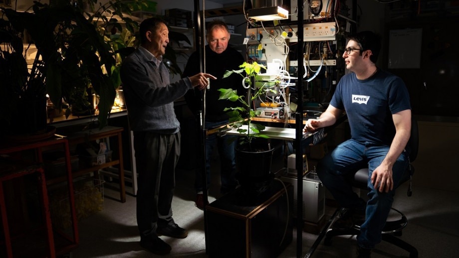 More Resilient Crops Capable of Withstanding Extreme Weather Events.