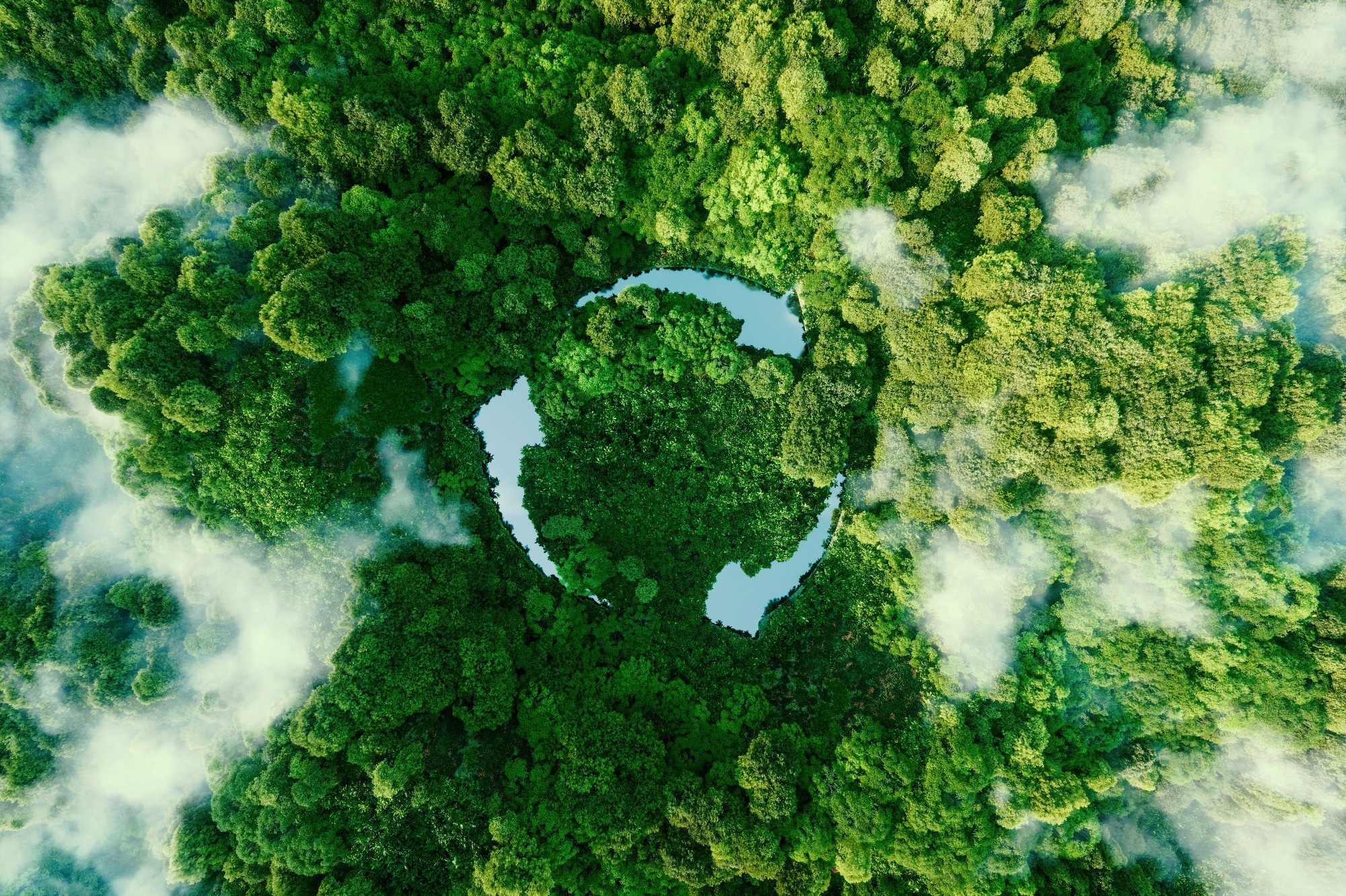 Carbon Storage: The Future of Residential Homes