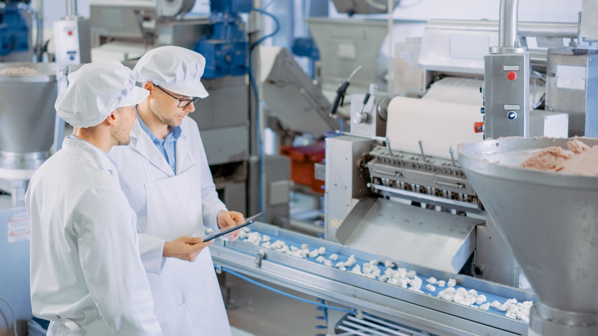 Novel Food Sanitization Technique Makes Food Safer to Consume.