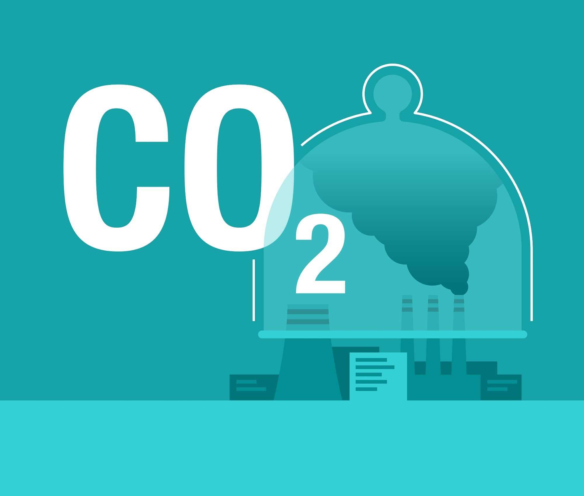 carbon removal, risk