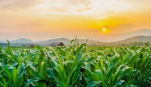 Availability of Renewable Energy Sources At Risk