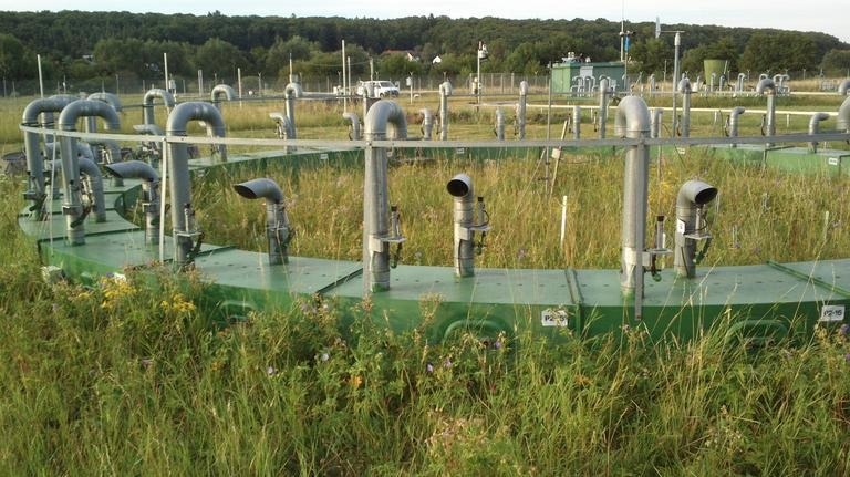 Planting Trees Not Best Method to Trap Carbon Dioxide
