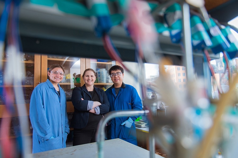 Taking Inspiration From Nature: Novel CO2 Reduction Strategy.