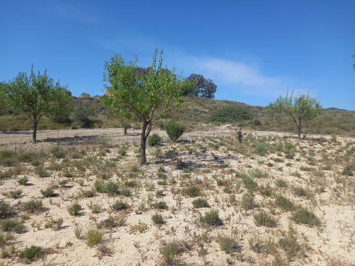 Strategy Improves Farm Productivity and Climate Change