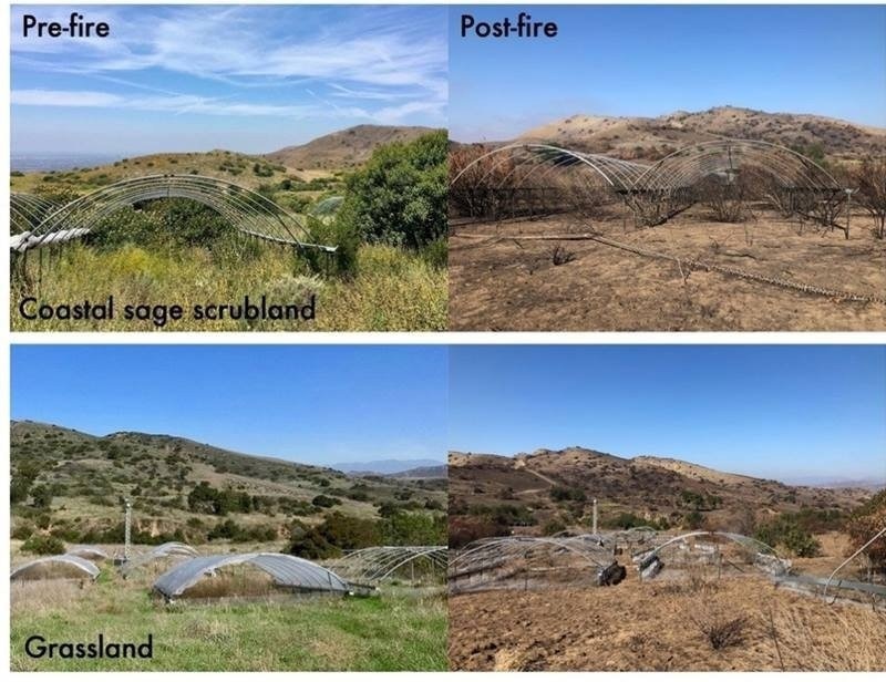 Surface Soil Bacteria Are Sensitive to Climate Change