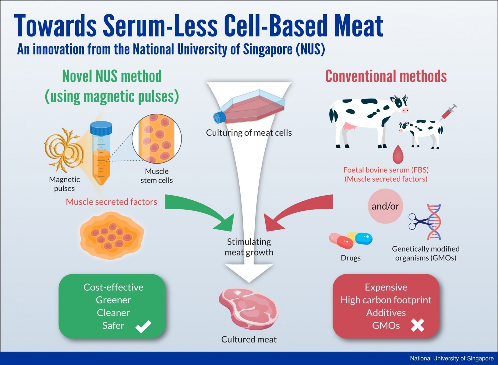Meat of the Future: Lab-Grown Meat as an Ecofriendly Alternative to Animal Farming.
