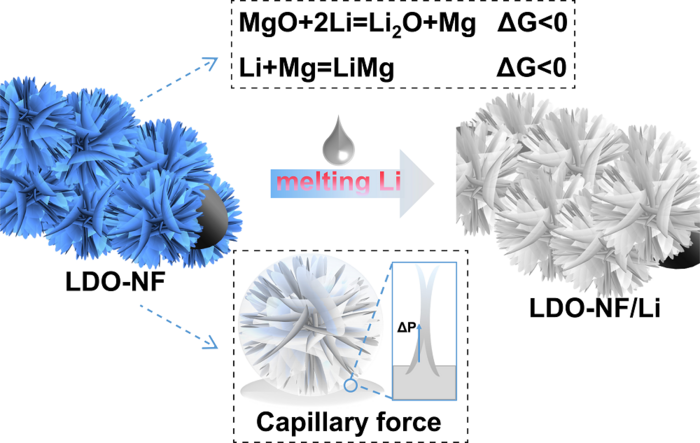 Developing a 3D Composite Lithium Anode Using Thermal Infusion