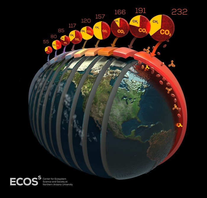 future arctic carbon emissions