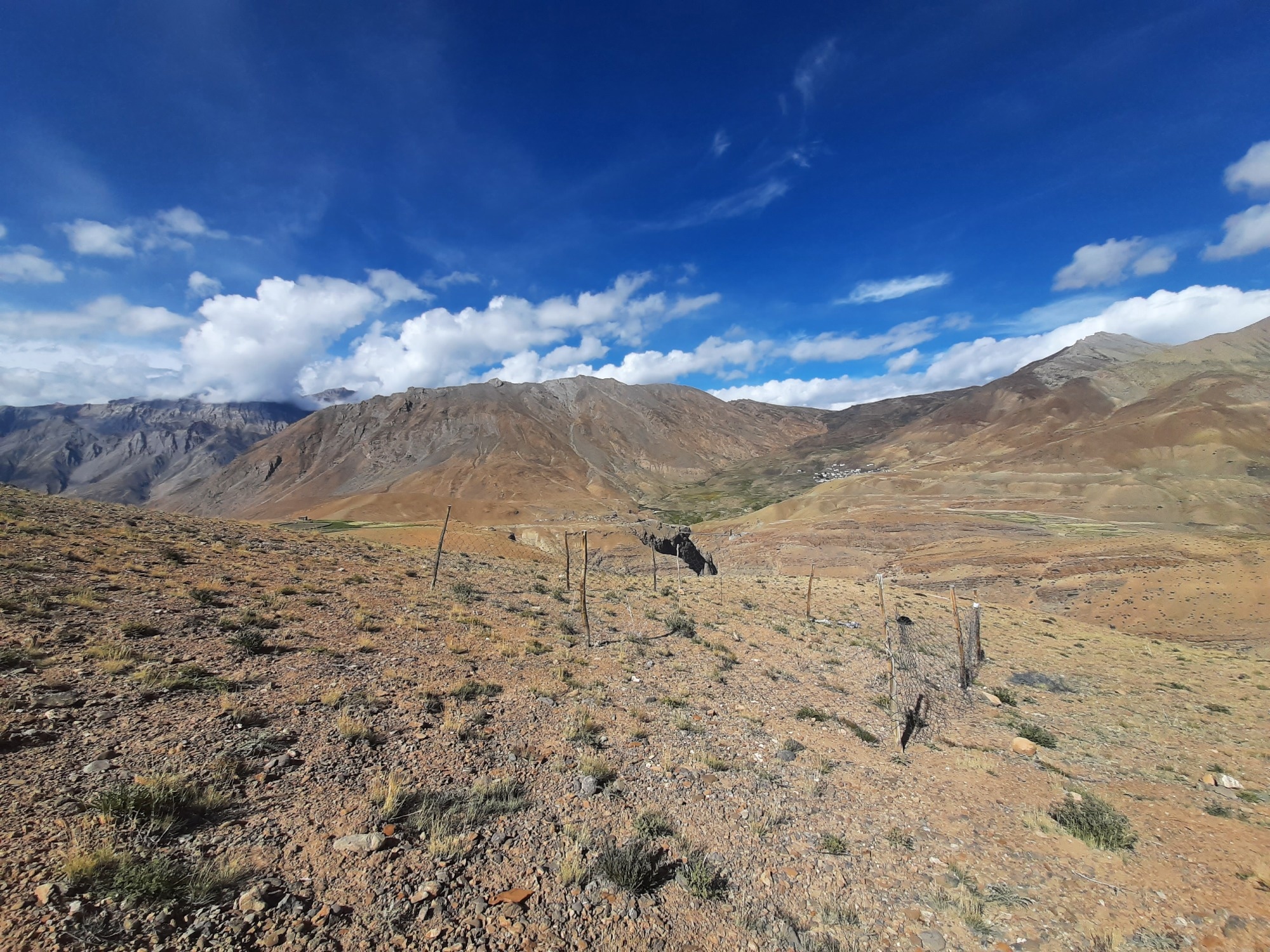 Grazing by Mammalian Herbivores: A Climate Mitigation Strategy