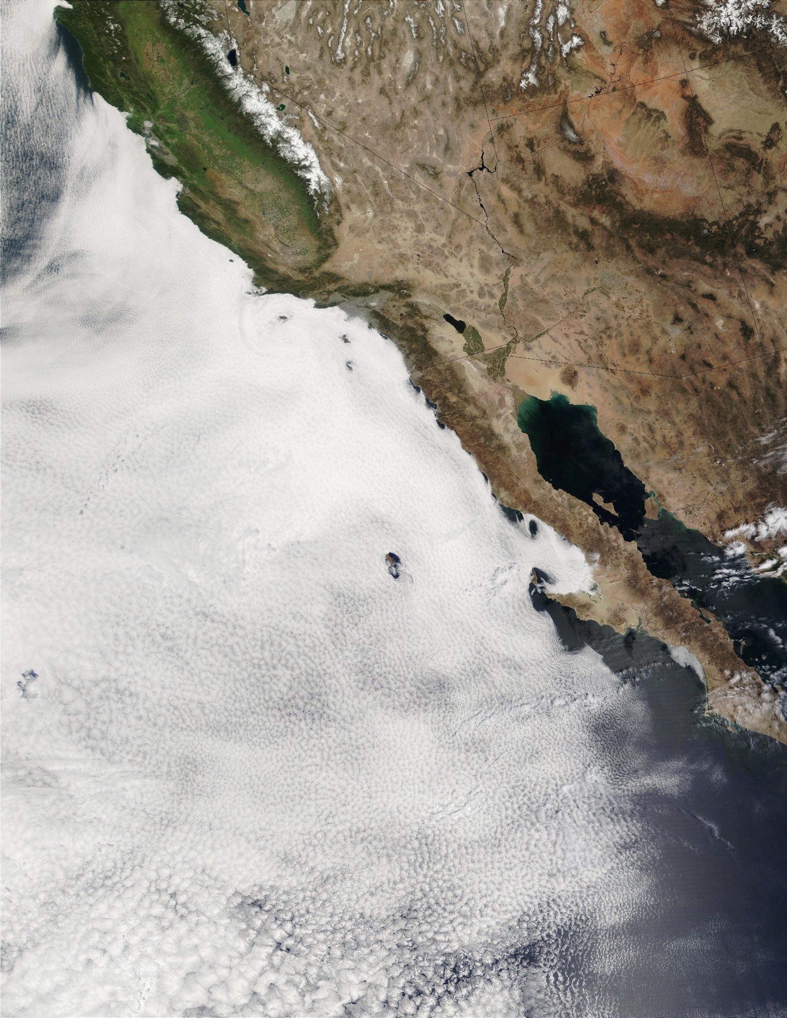 Analyzing Climate Science Puzzle of Simulating Clouds