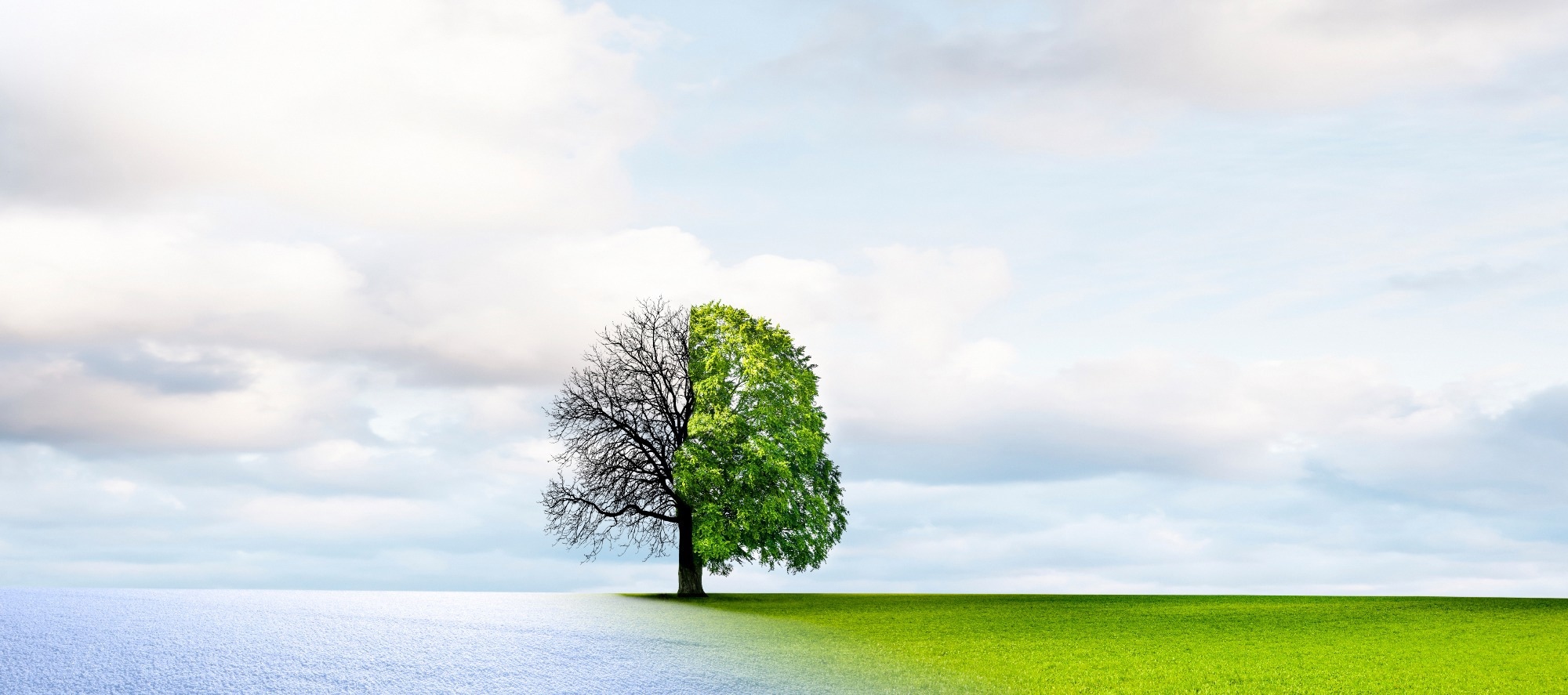 Climate Change Has Pushed Earth to “Code Red”