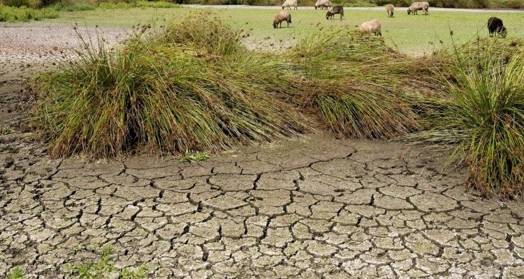 Reliable Rainfall Depends on Forest Protection