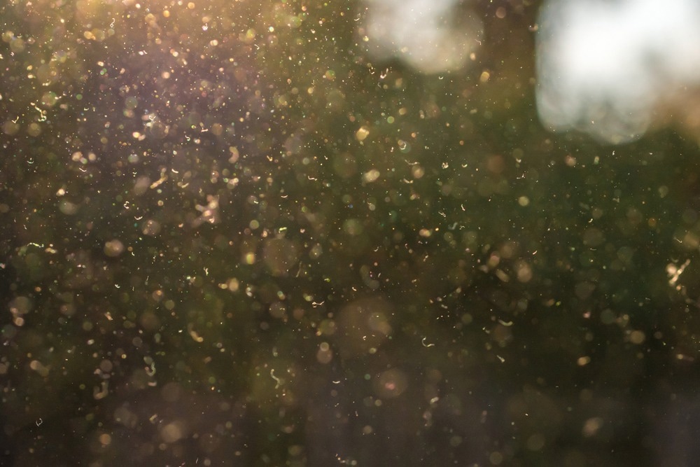 Association Between Tiny Air Particulates and Sudden Cardiac Arrests