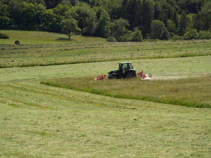 Influence of High Grassland Biodiversity on Ecosystem Applications