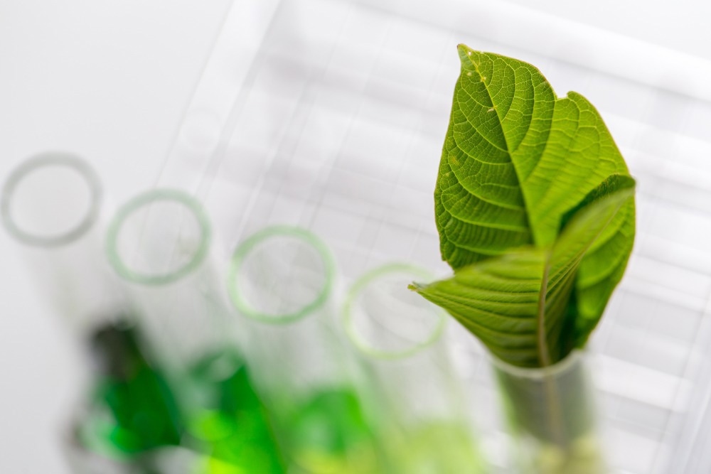 Environmental Adaptation in Plants Through Molecular Mechanism Revealed