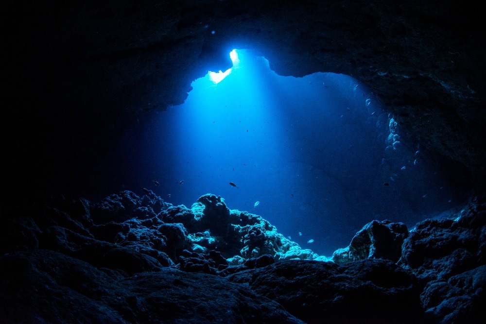 Effect of the Warming Climate on Mesopelagic Fish Size