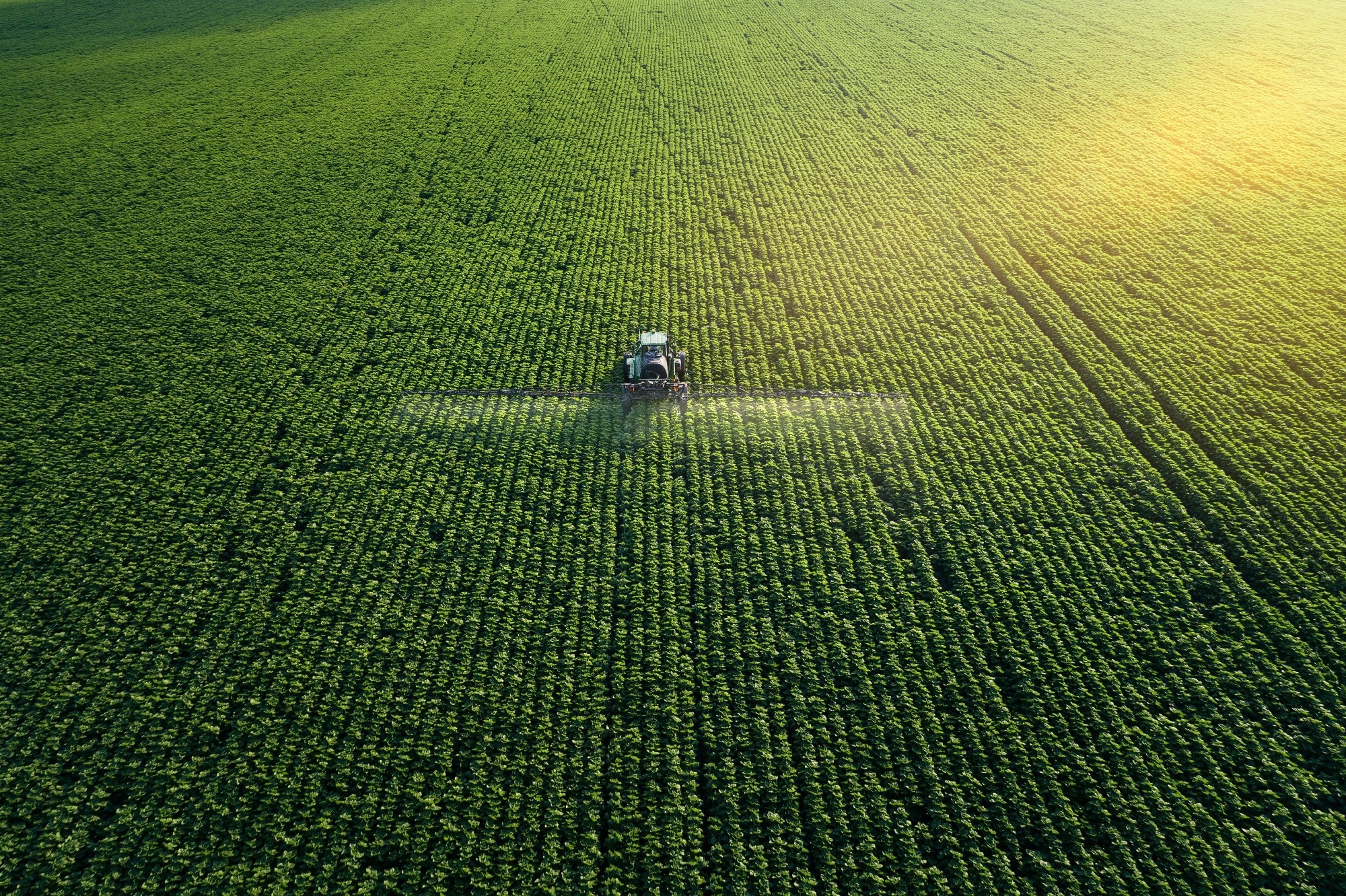 Greener Ammonia: A Green Revolution