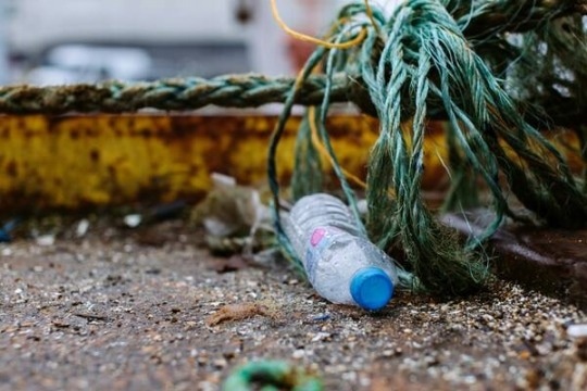 Consumer Perceptions for Future Plastic Policy Recommendations