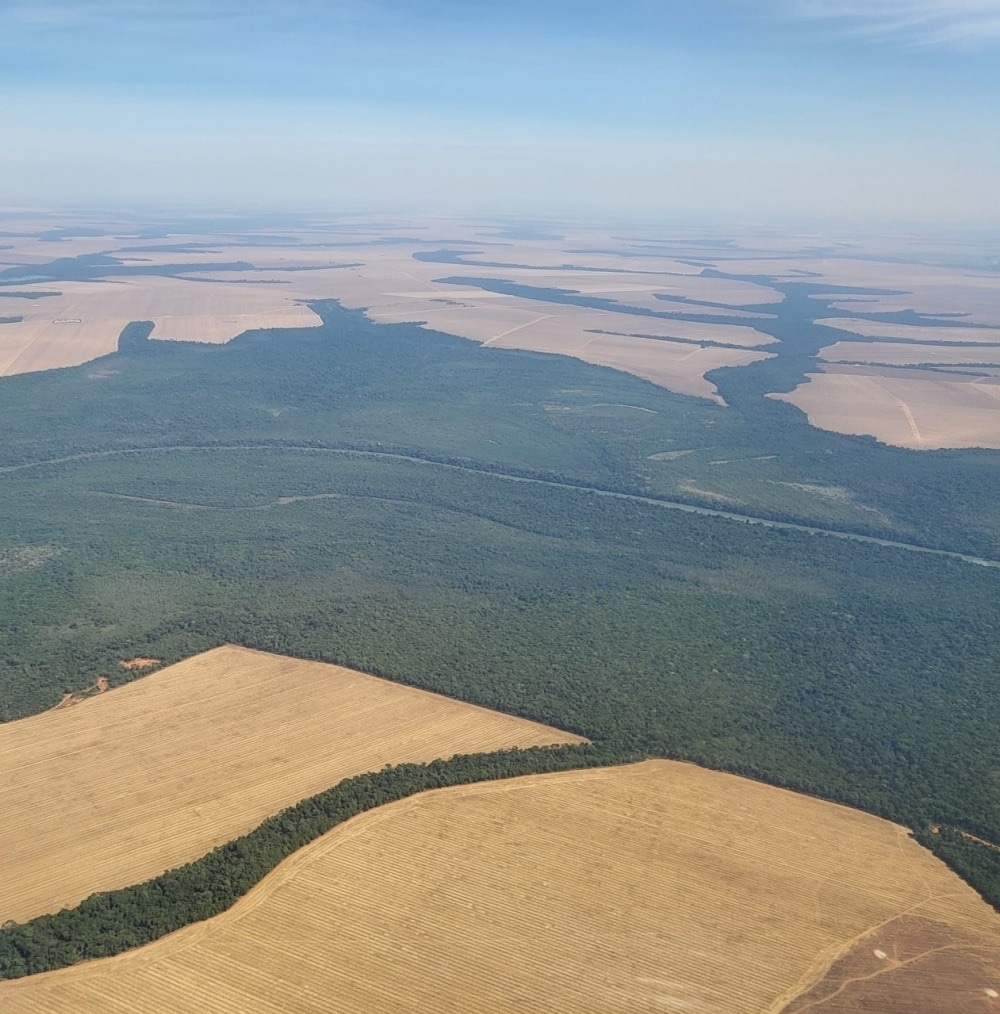 Deforestation Results in Increased Active Fires in the Brazilian Amazon