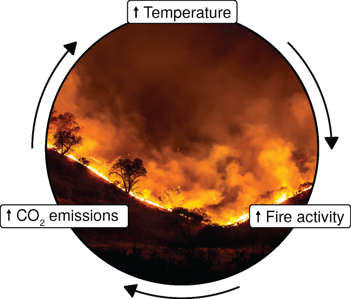 Warnings Made About Risky Climate Feedback Loops